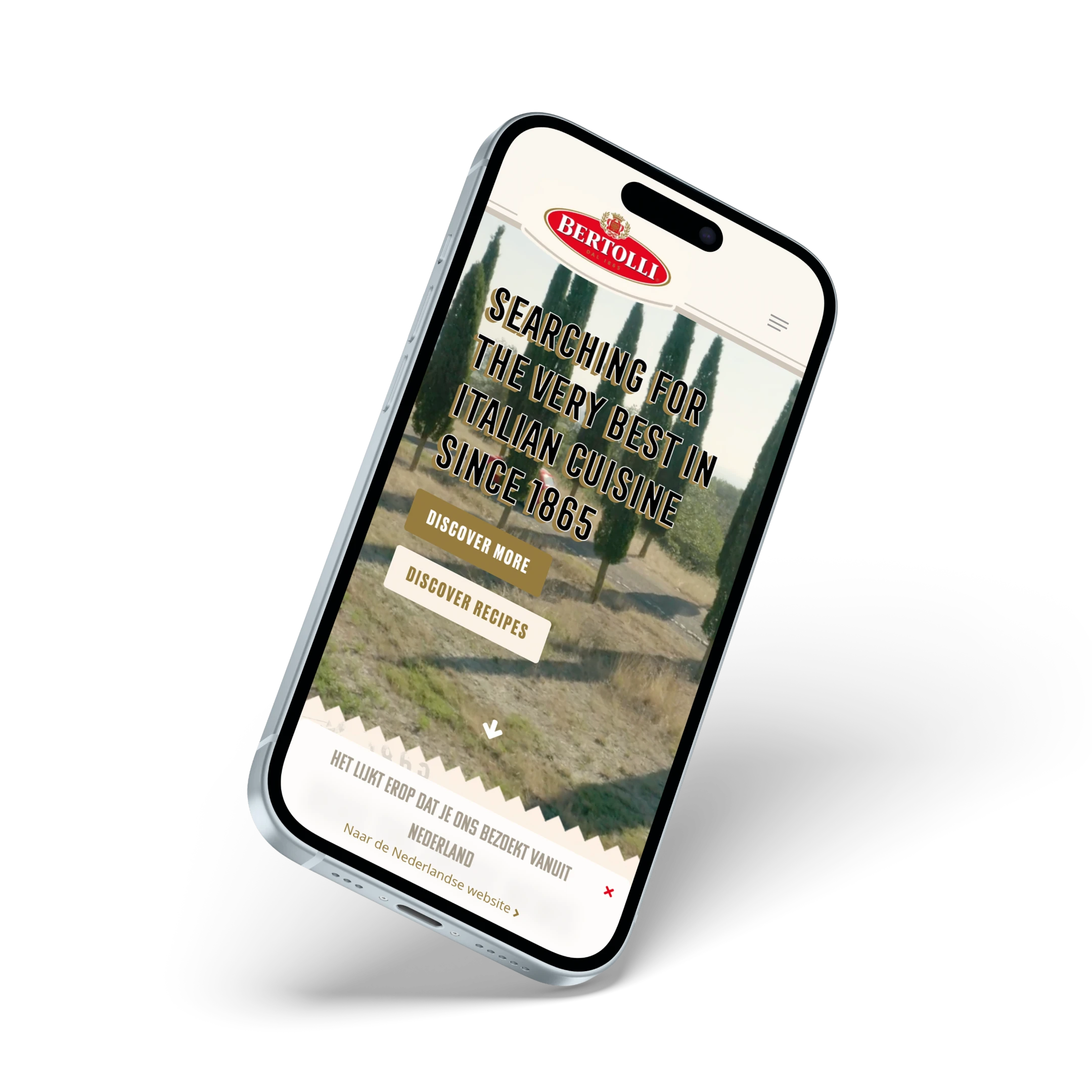 bertolli webdesign case