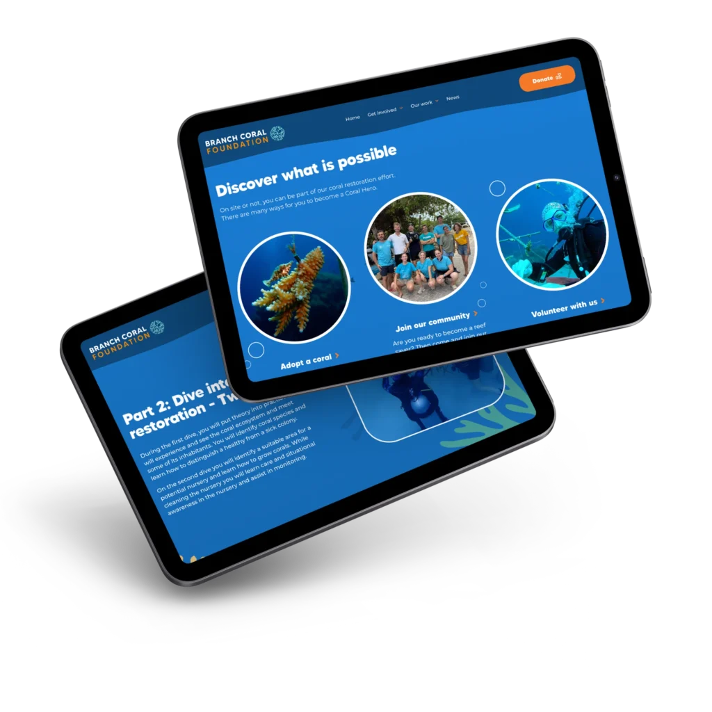 webdesign case branch coral foundation